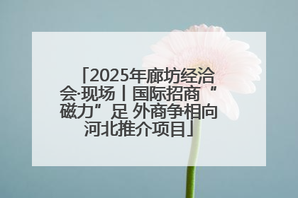 2025年廊坊经洽会·现场丨国际招商“磁力”足 外商争相向河北推介项目