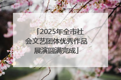 2025年全市社会文艺团体优秀作品展演圆满完成