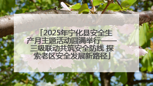 2025年宁化县安全生产月主题活动圆满举行——三级联动共筑安全防线 探索老区安全发展新路径