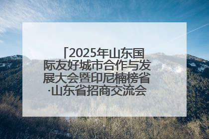 2025年山东国际友好城市合作与发展大会暨印尼楠榜省·山东省招商交流会在济南槐荫举行