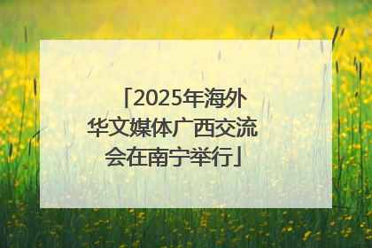 2025年海外华文媒体广西交流会在南宁举行