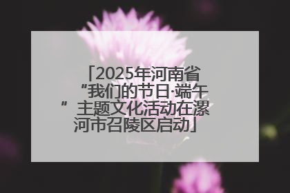 2025年河南省“我们的节日·端午”主题文化活动在漯河市召陵区启动