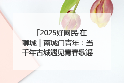 2025好网民·在聊城｜南城门青年：当千年古城遇见青春歌谣 一湖碧水见证的“聊城式浪漫”