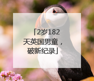 2岁182天英国男童，破新纪录