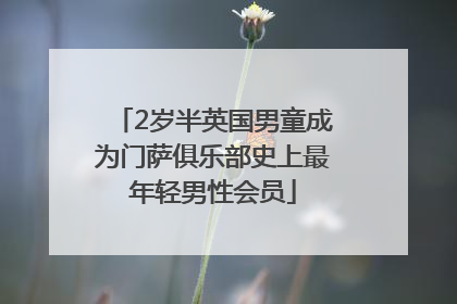 2岁半英国男童成为门萨俱乐部史上最年轻男性会员
