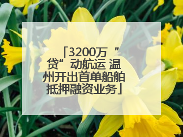 3200万“贷”动航运 温州开出首单船舶抵押融资业务