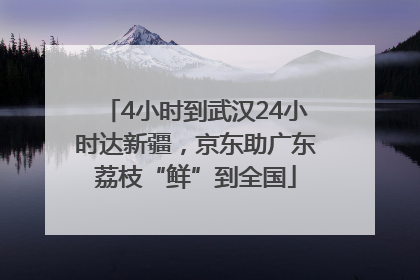 4小时到武汉24小时达新疆，京东助广东荔枝“鲜”到全国