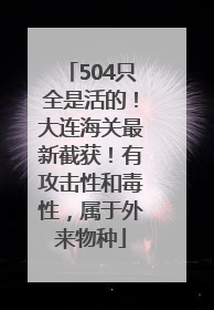 504只全是活的！大连海关最新截获！有攻击性和毒性，属于外来物种