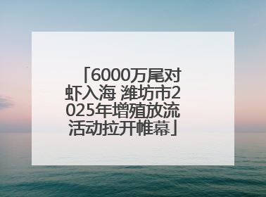 6000万尾对虾入海 潍坊市2025年增殖放流活动拉开帷幕