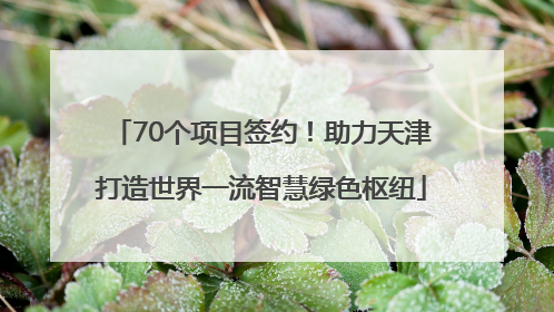 70个项目签约！助力天津打造世界一流智慧绿色枢纽