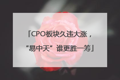 CPO板块久违大涨，“易中天”谁更胜一筹