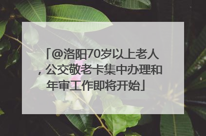 @洛阳70岁以上老人，公交敬老卡集中办理和年审工作即将开始