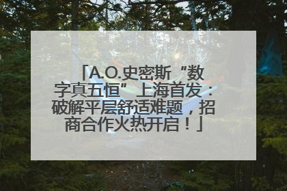 A.O.史密斯“数字真五恒”上海首发：破解平层舒适难题，招商合作火热开启！